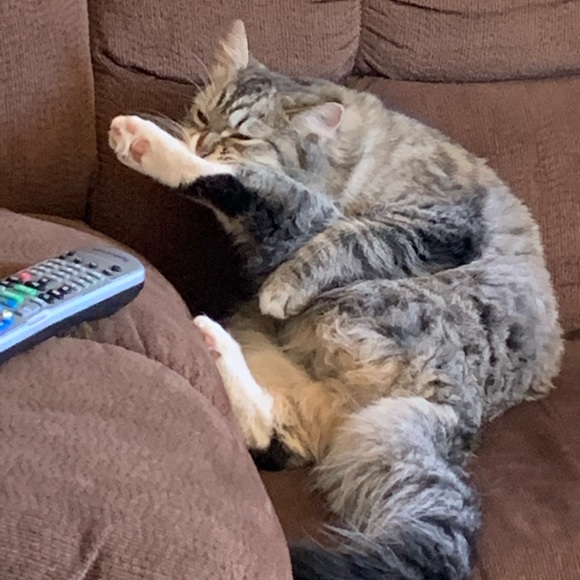 Meet your Posher, Eileen - Picture 1 of 1